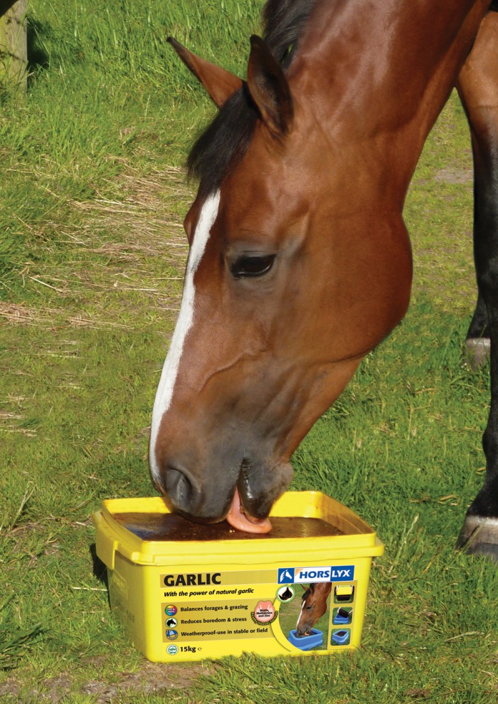 Horslyx 15kg garlic balancer