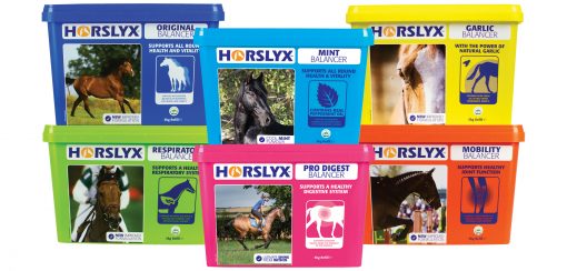 5kg Horslyx Balancers Group Pack Shot