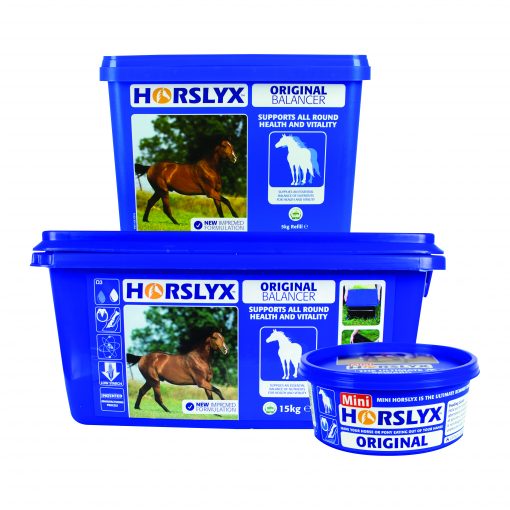 650g 5kg 15kg Horslyx Original Balancer Group Pack Shot