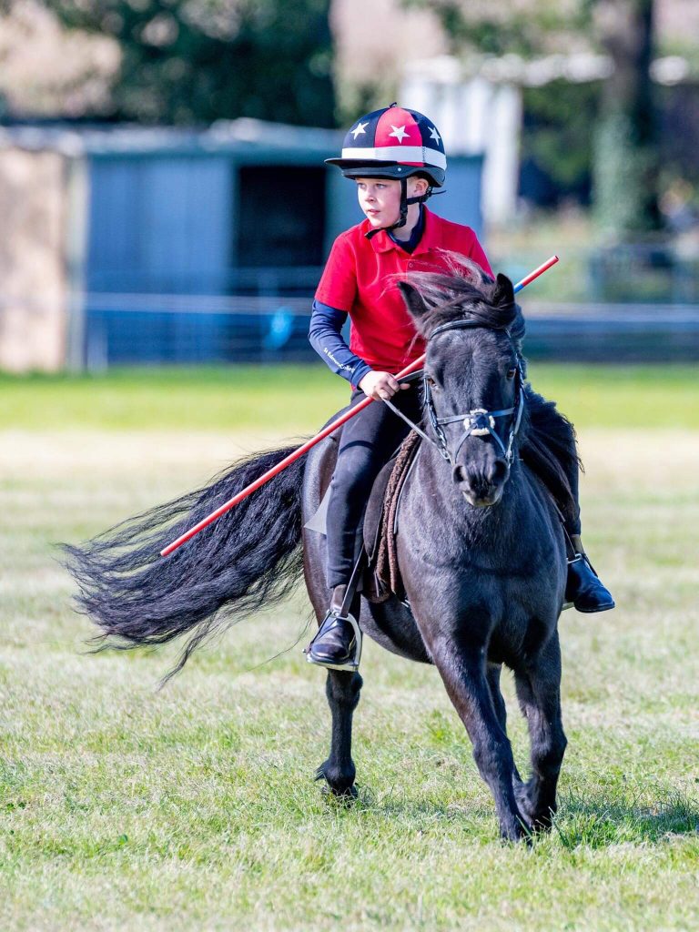 Matthew Holliday feeds Eddie, his racing Shetland, Horslyx Mobility Balancer